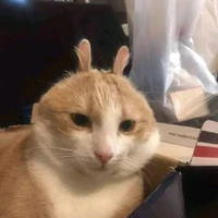 mom