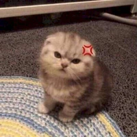 tác giả