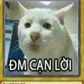Tên gì tự nhớ(。-`ω´-)