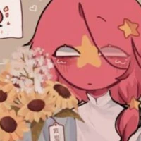 Việt Nam ( chính chủ )