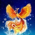 phượng hoàng/ tiểu phượng