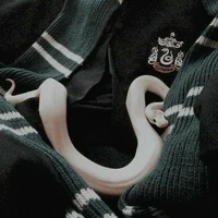 Gvcn Slytherin