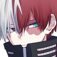 Todoroki Shoto
