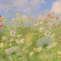 con quẻ hệ thống