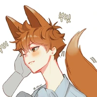 Shoyo/ Hinata Shoyo/ Cửu Vĩ Hồ