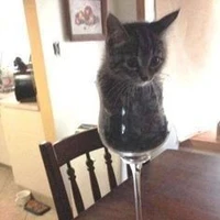???