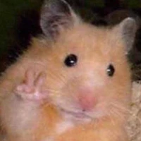 @công(trừ những đứa cần trừ)