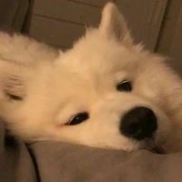 Hệ thống xuyên không