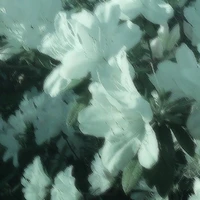 All