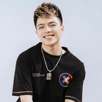 mister vịt (quách việt hoài )