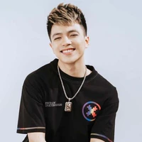 mister vịt (quách việt hoài )