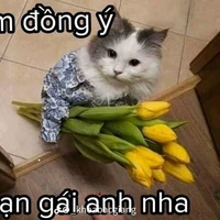 Hệ thống-Pany