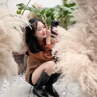 Thảo