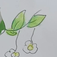 một người nào đó