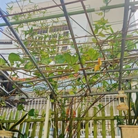 hiệu trưởng