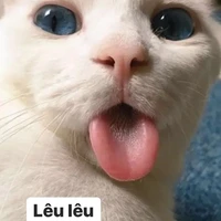 Tác Giả Đâyy🤡