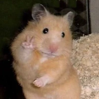 tác giả thưn thịn