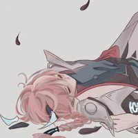 Coan T/giả ngáo đá