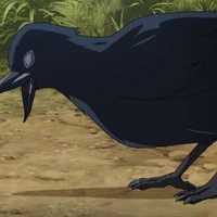 karasu
