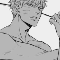 Namikaze/Uzumaki Naruto