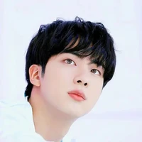 Kim SEOKJIN [ ppa hắn]