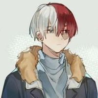 Todoroki shoto