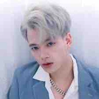 Mr vịt(hoài việt)