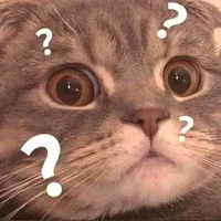 Người ấy là ai??