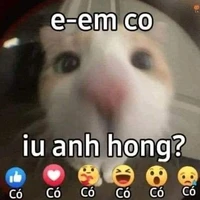 bộ ba hoa hòe
