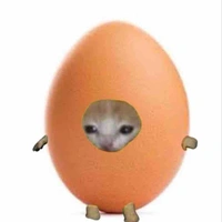 Hnhư 