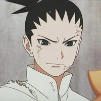 Nara Shikadai
