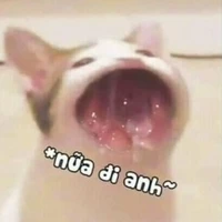 Tác Giả Depzai 😏