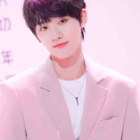Đinh Trình Hâm 
