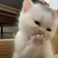 all