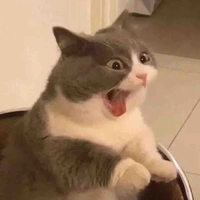 Tác giả bận làm biếng😢