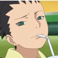 shikadai