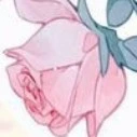 All (- Sakura)