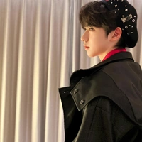 Hạ Tuấn Lâm (3)
