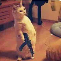 All (trừ những ng cần trừ)