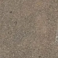 Thầy dạy võ của Makoto