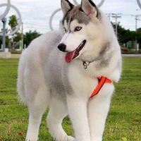 Lili