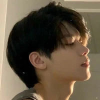 Phượng Sư Tử 23t