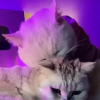 bff T/G : Lily Nguyễn 