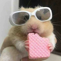 tgiac nòoo