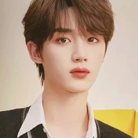 Đinh Trình Hâm (anh)