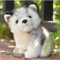 (hệ thống G9) Siu