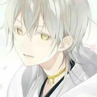 shiki