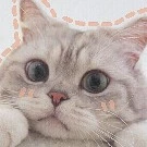 Tác giả cute hột me