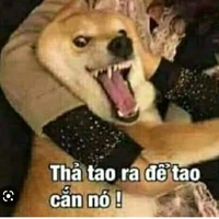 Đứa không muốn sống nữa :))