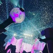 army